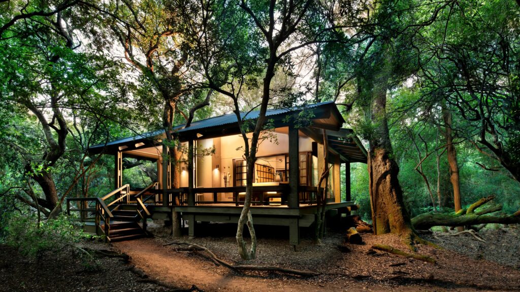 andBeyond Phinda Forest Lodge - Phinda Private Game Reserve, South Africa andBeyond Phinda Forest Lodge - Phinda Private Game Reserve, South Africa