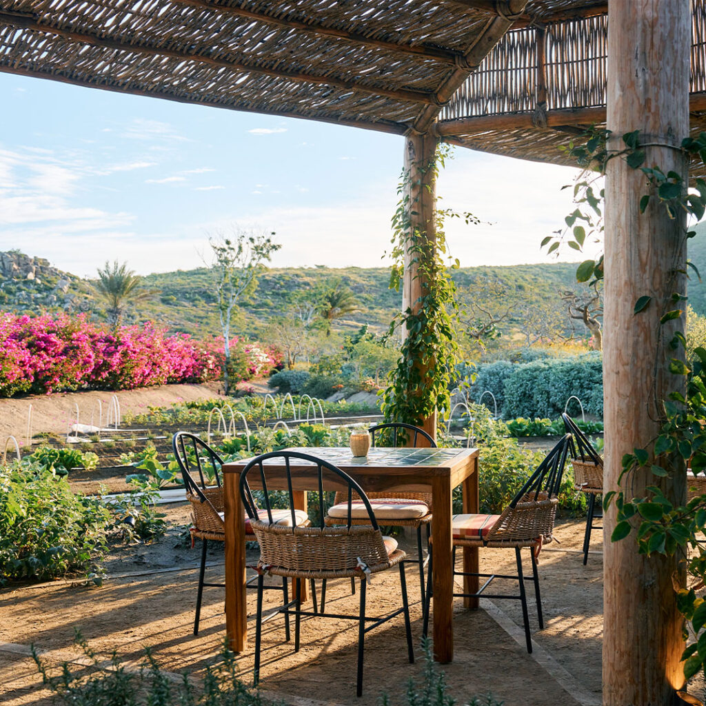 Hotel San Cristobal - Todos Santos, Mexico