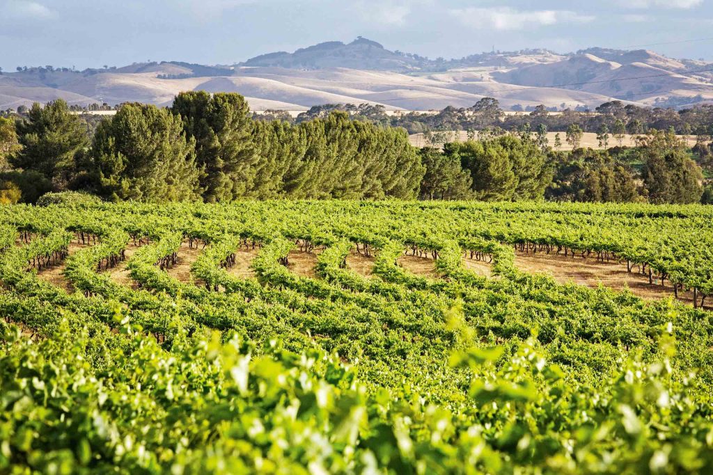 The Louise - Barossa Valley, Australia The Louise - Barossa Valley, Australia