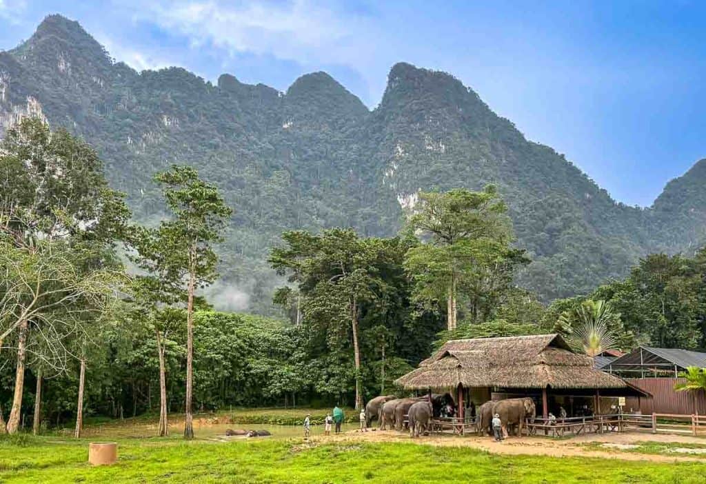 Elephant Hills, Khao Sok, Thailand