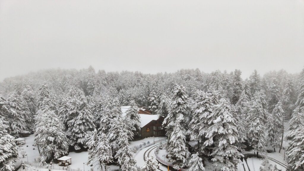 Welcomhotel by ITC Hotels, Pine N Peak - Pahalgam, India