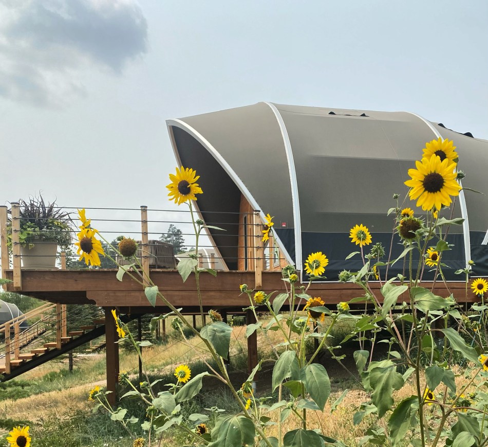 Shortgrass Resort - Spearfish, USA