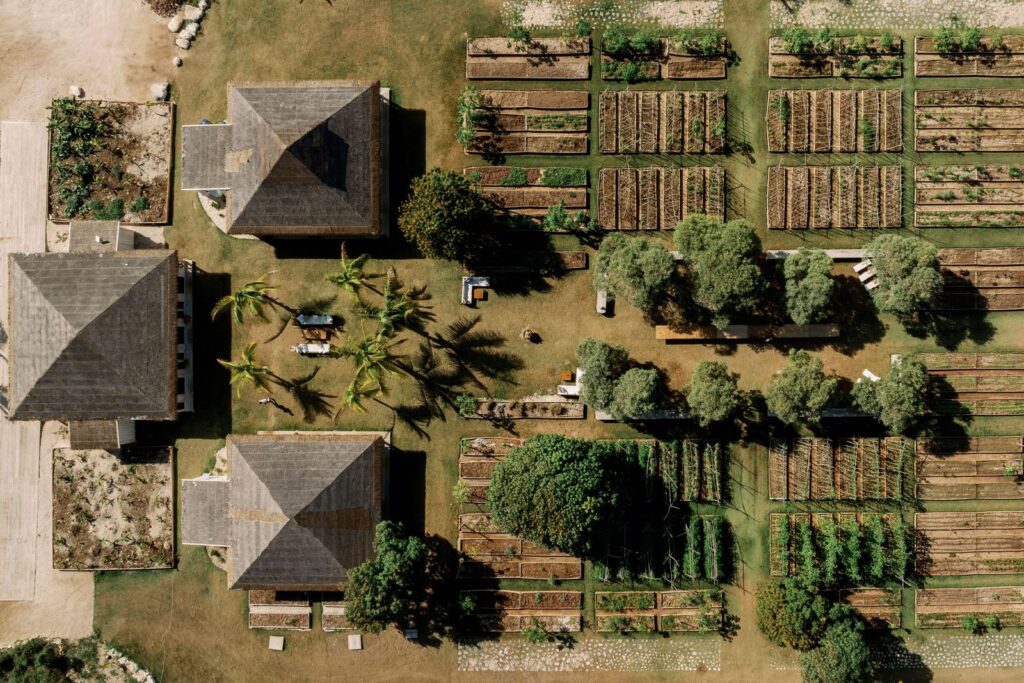 The Farm - Upper Bogue, Bahamas