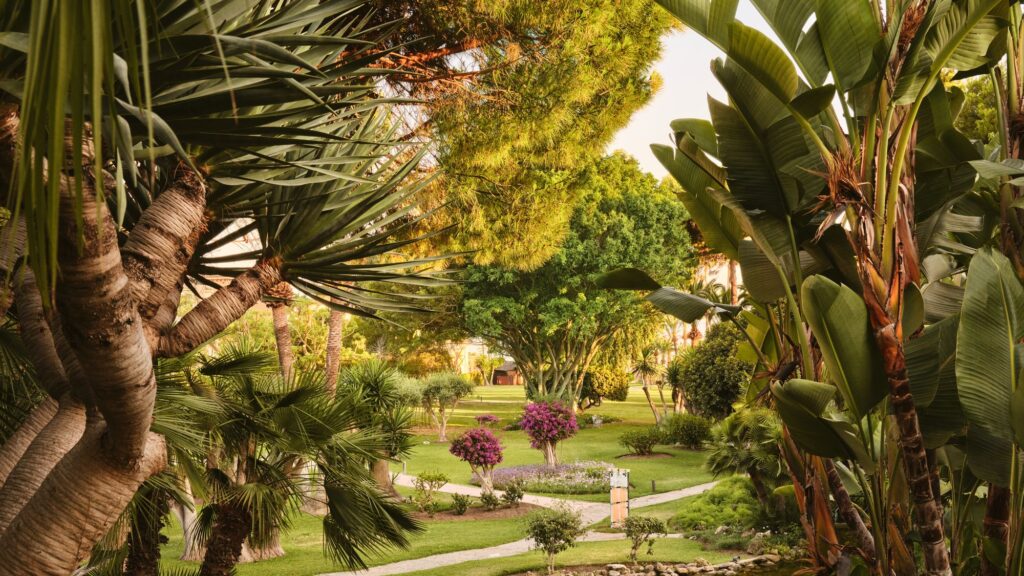 Don Carlos Marbella - Marbella, Spain