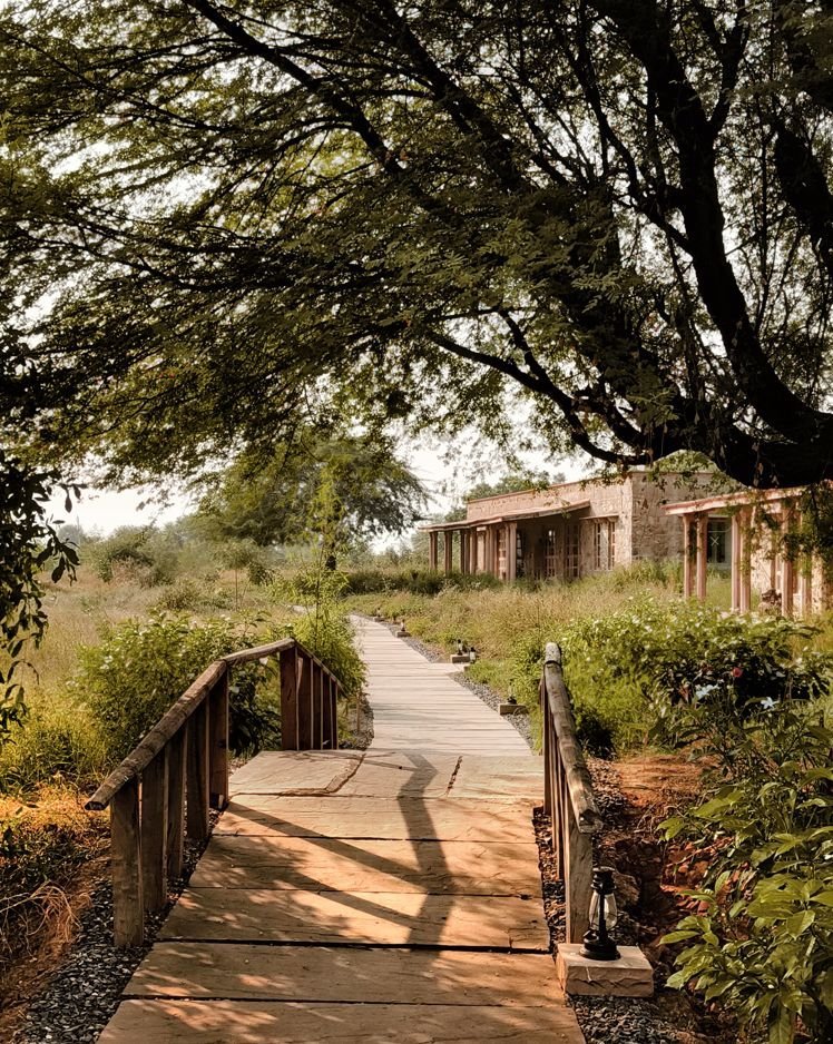 Sariska Lodge - Alwar, India Sariska Lodge - Alwar, India