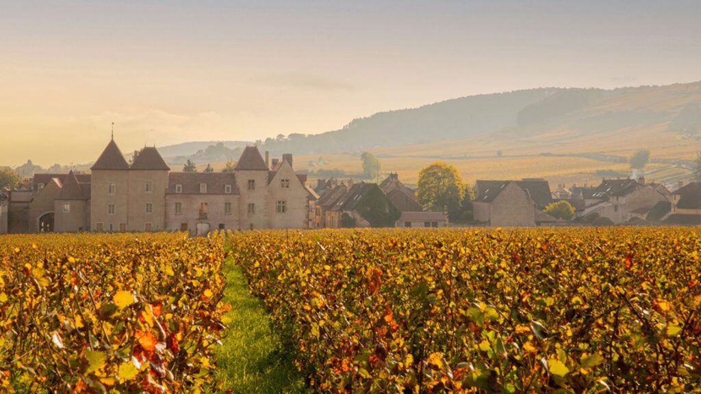 Château la Commaraine, Pommard, France